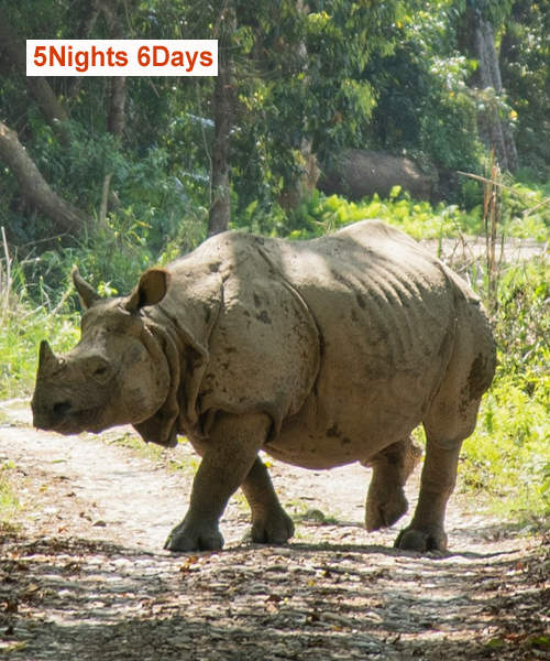  Nepal Tour Package From Gorakhpur